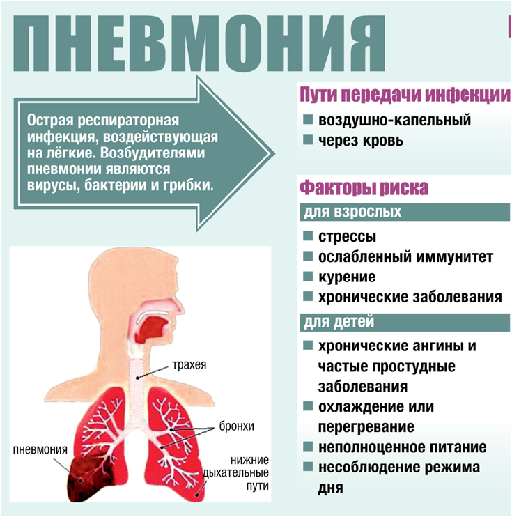 Может ли протекать воспаление легких без температуры