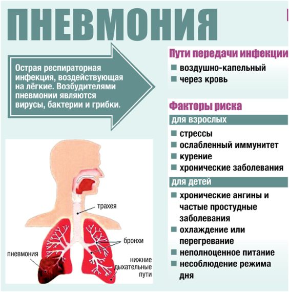 Памятка по профилактике внебольничной пневмонии.